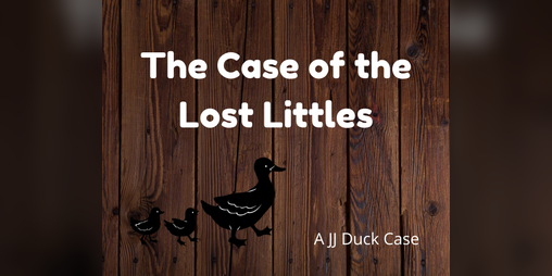 Cover image for The Case of the Lost Littles