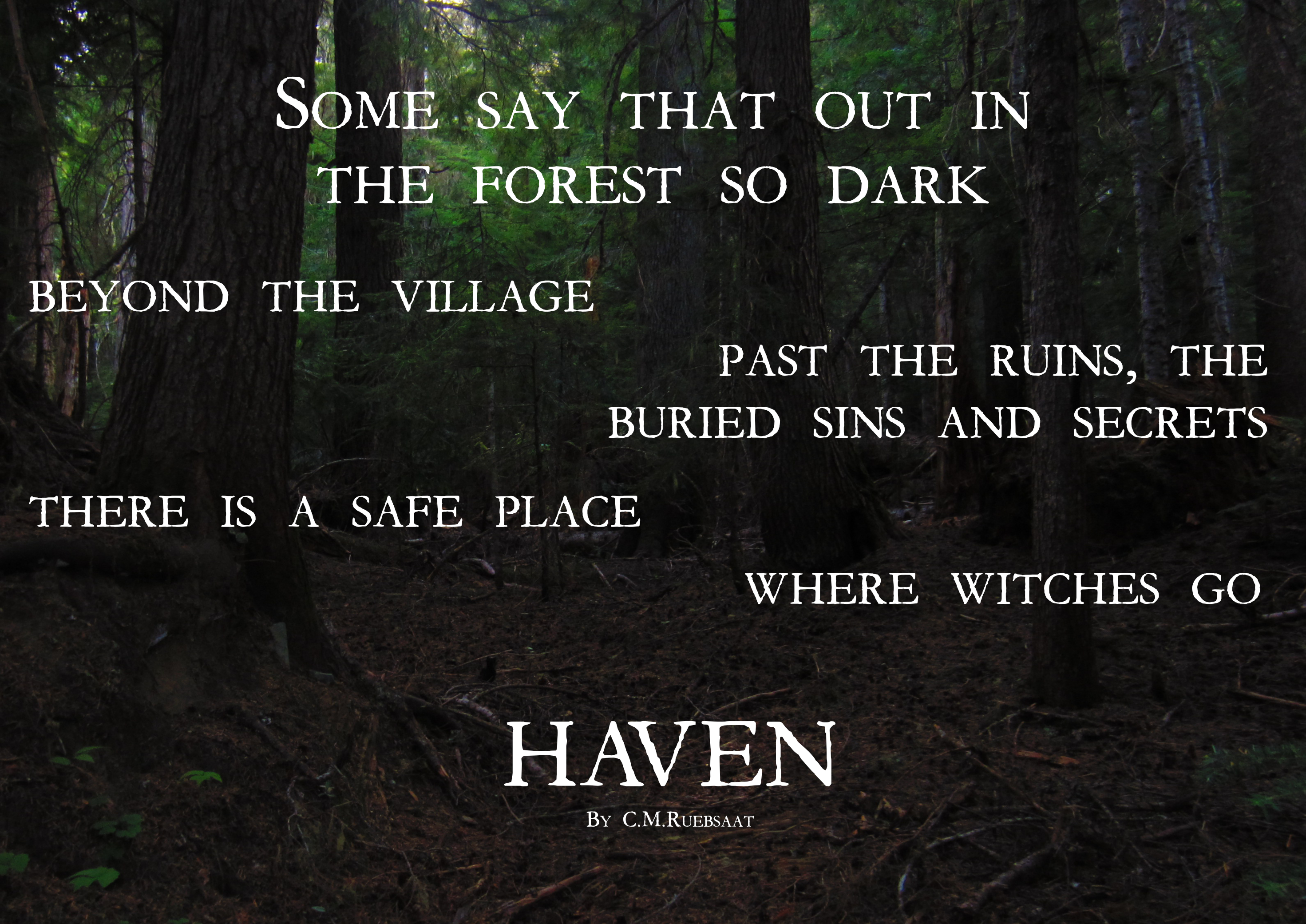 Cover image for HAVEN: a Game of Witches