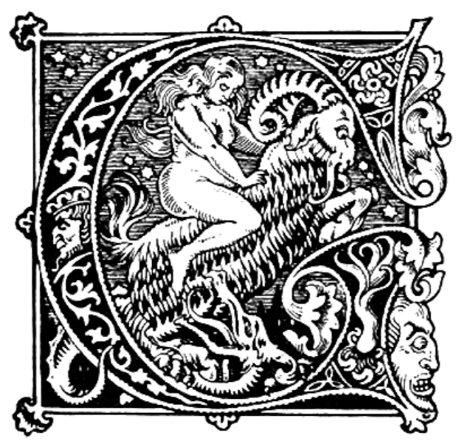Cover image for The Fairy's Hart