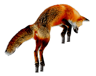 SpringFox