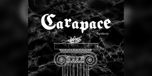 Cover image for Carapace
