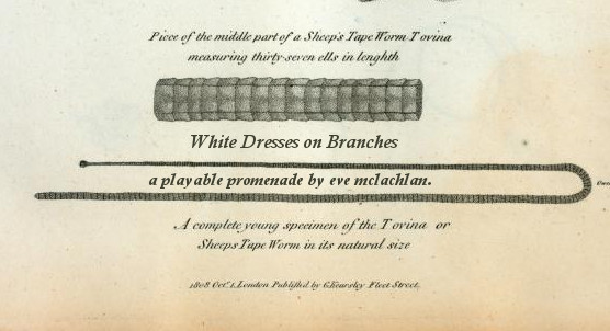 Cover image for White Dresses on Branches