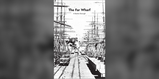 Cover image for The Far Wharf