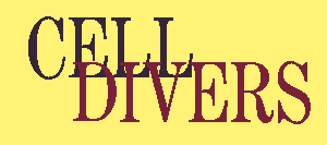 CellDivers