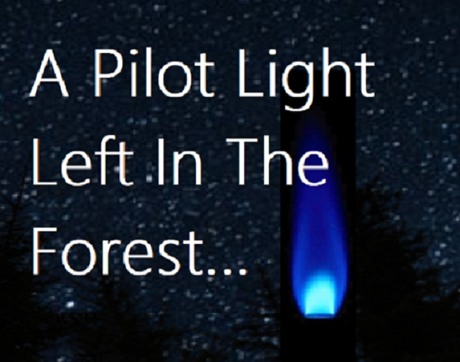 Cover image for A Pilot Light Left In A Forest...