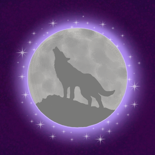 Cover image for Under the Moonlight