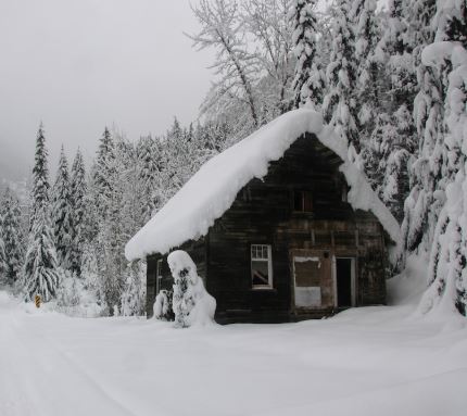 Cover image for The Cabin
