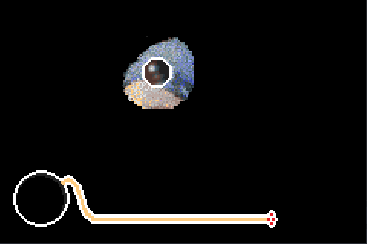 Cover image for Microgame Mosaic