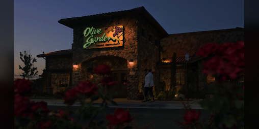 Cover image for A Trip To Olive Garden