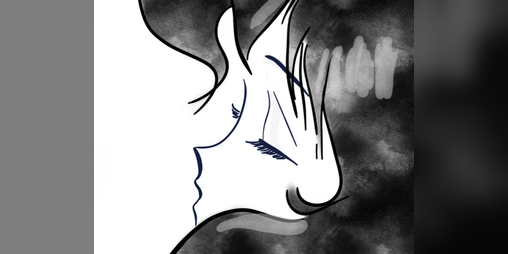 Cover image for Mariann: Soul Detective