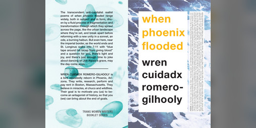 Cover image for when phoenix flooded
