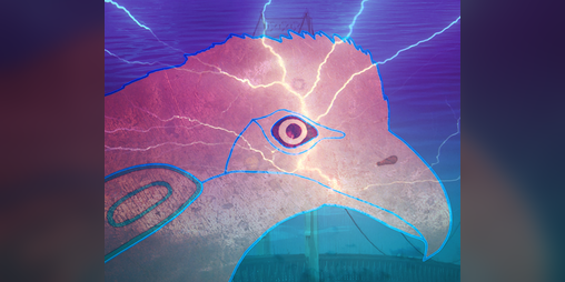 Cover image for Thunderbird Strike (2017)