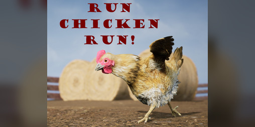 Cover image for Run Chicken, Run!