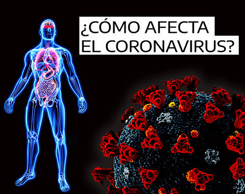 Como afecta el Coronavirus