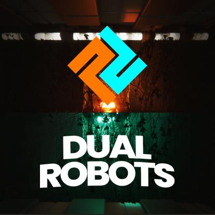 Dual Robots Demo