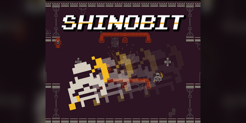 Cover image for Shinobit