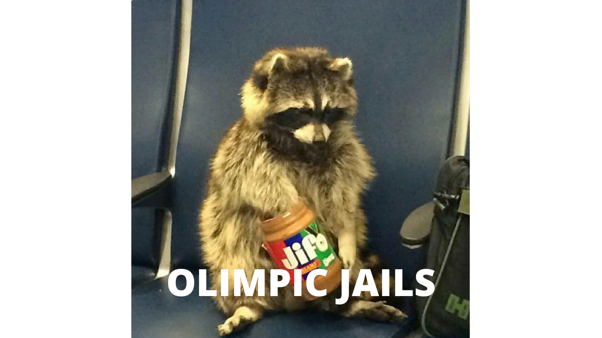 OLIMPIC JAILS