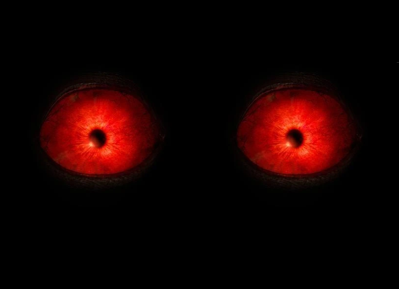 Eyes of the Beast
