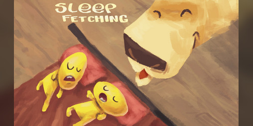 Cover image for SleepFetching
