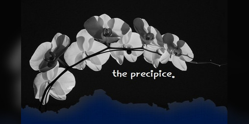 Cover image for The Precipice