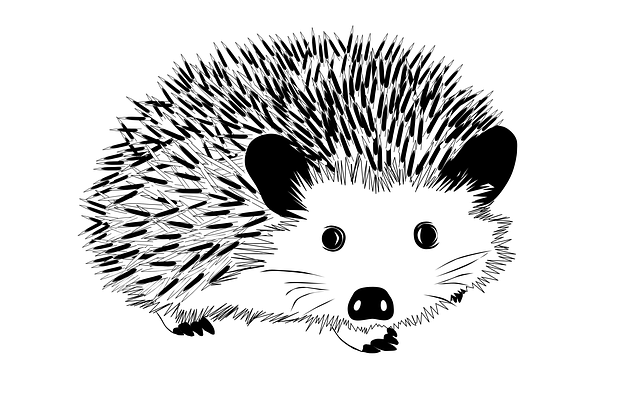 Cover image for Witchy Whiskers