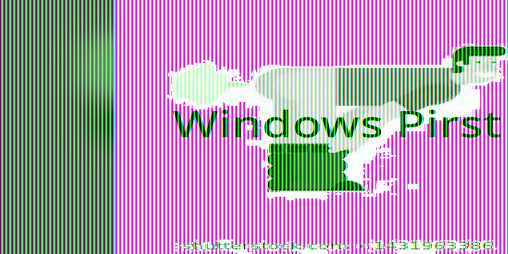 Cover image for Windows Pirst
