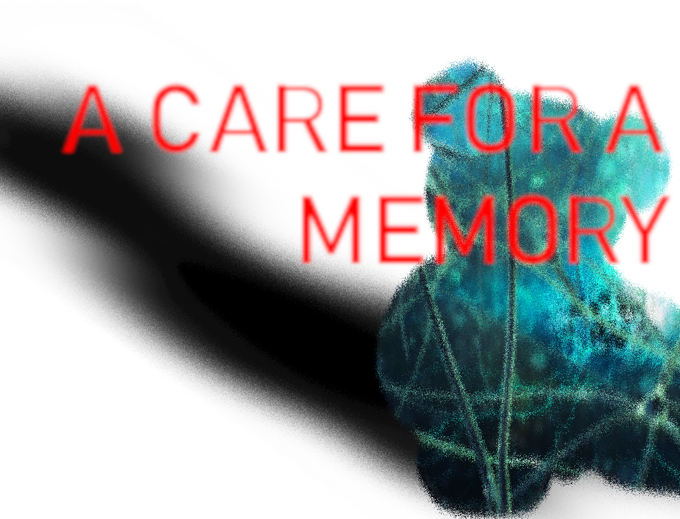 Cover image for Care for A Memory