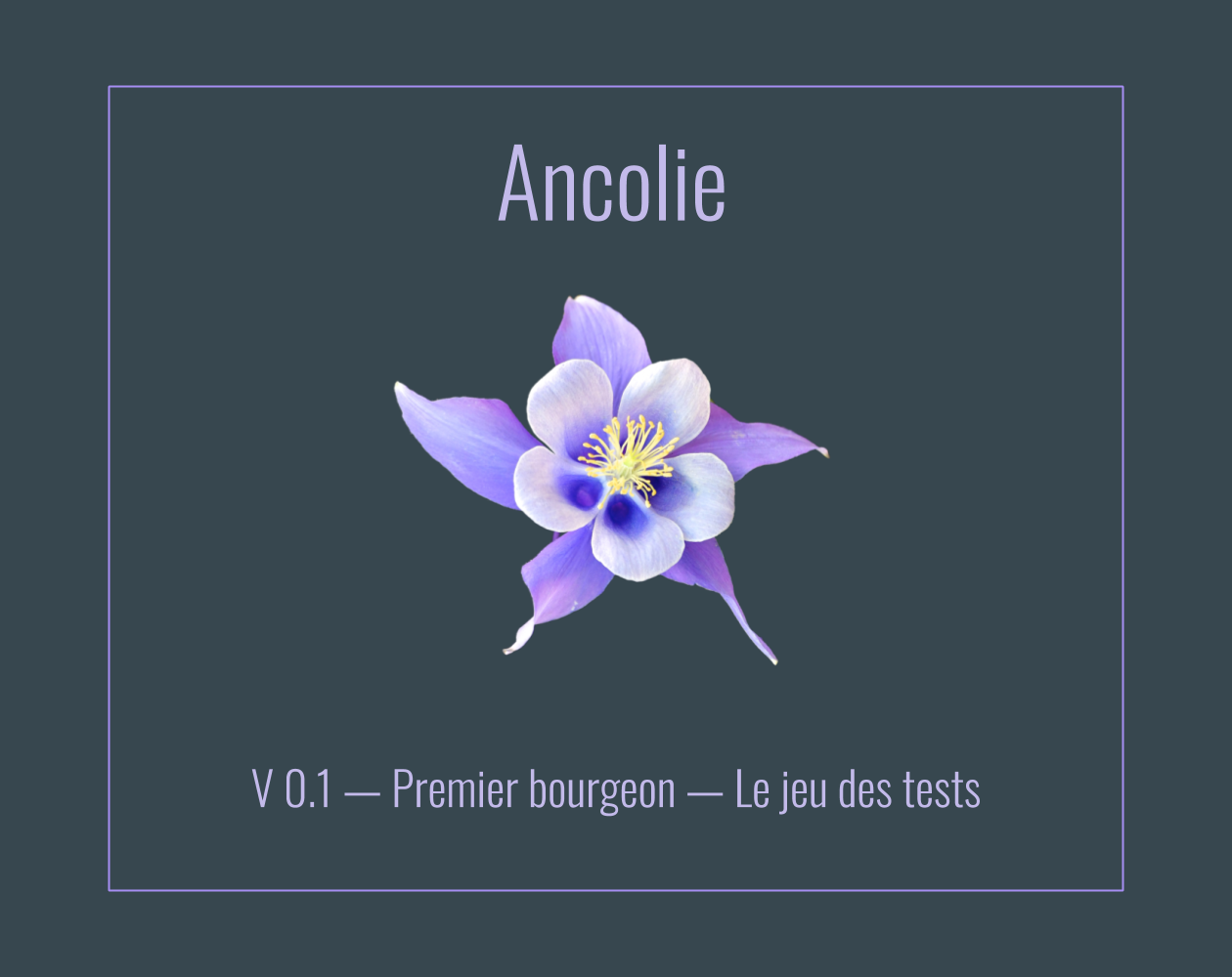 Cover image for Ancolie