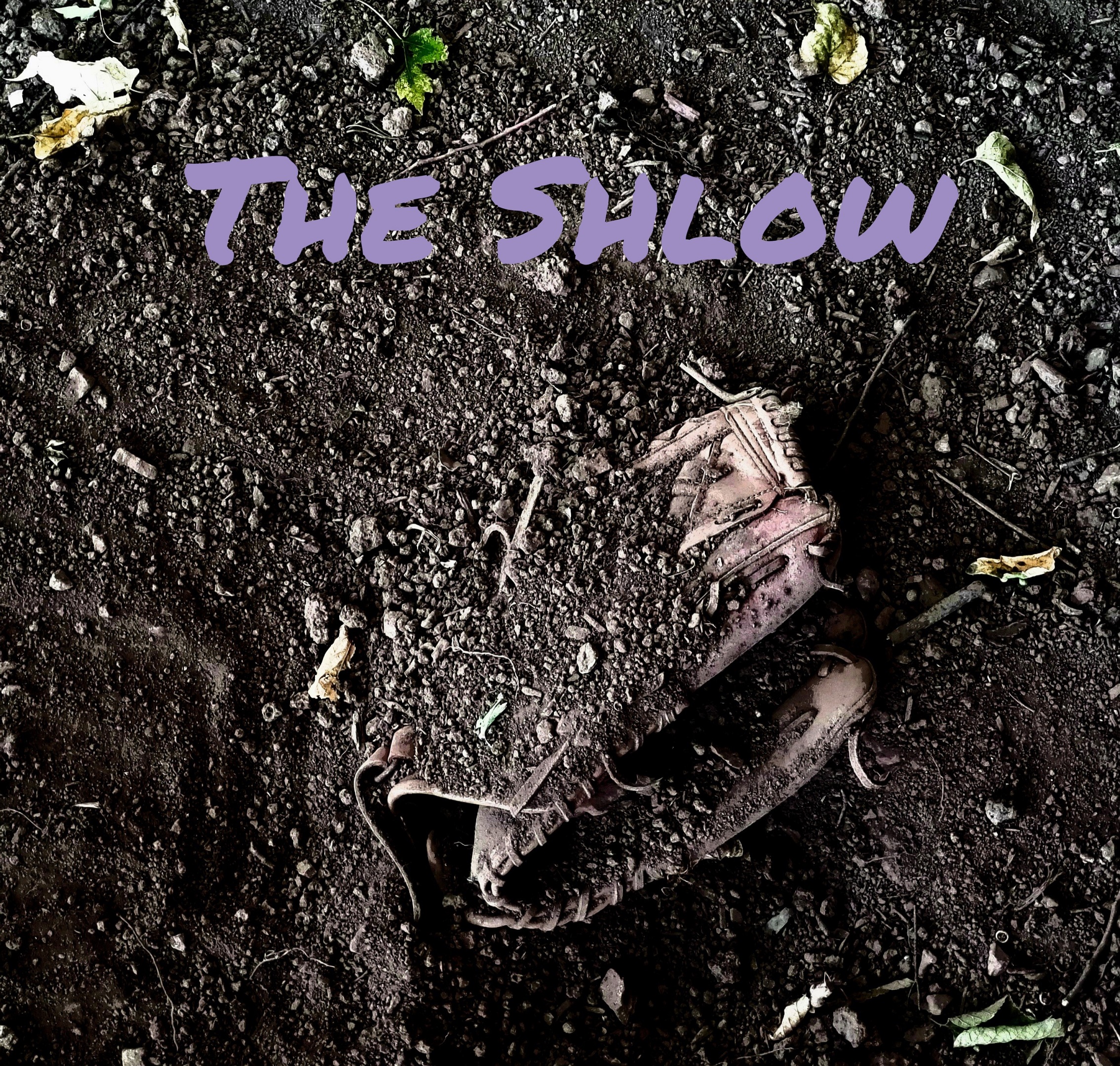 Cover image for The Shlow