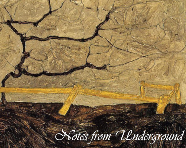 Cover image for Notes From Underground