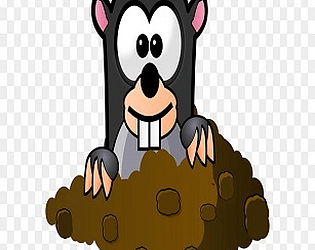 Whack this mole