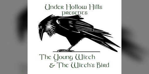 Cover image for The Young Witch & the Witch's Bird