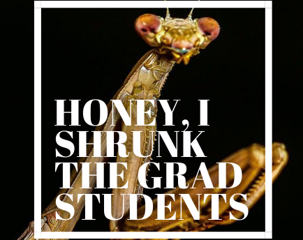 Cover image for Honey, I Shrunk The Grad Students