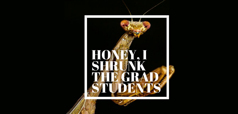 Honey, I Shrunk The Grad Students