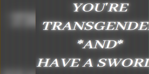 Cover image for You're Transgender *And* You Have A Sword?