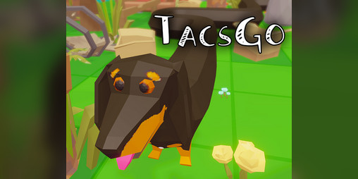 Cover image for TacsGo