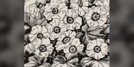 Cover image for Aging Out