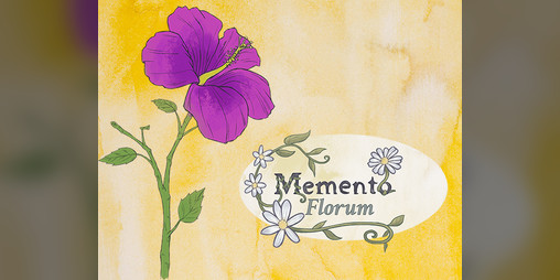 Cover image for Memento Florum