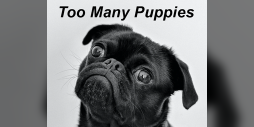 Cover image for Too Many Puppies