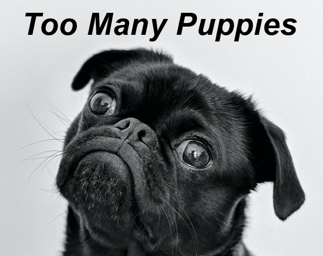 Cover image for Too Many Puppies