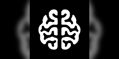 Cover image for Thick Brain