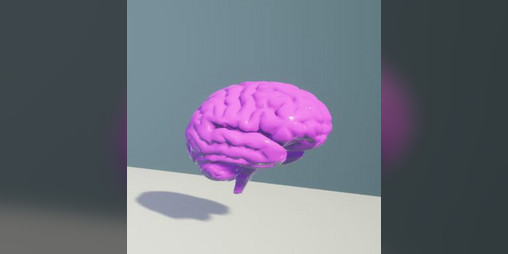 Cover image for Empty Brain