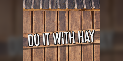 Cover image for Do It With Hay