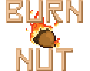 Cover image for Burn nut team 15