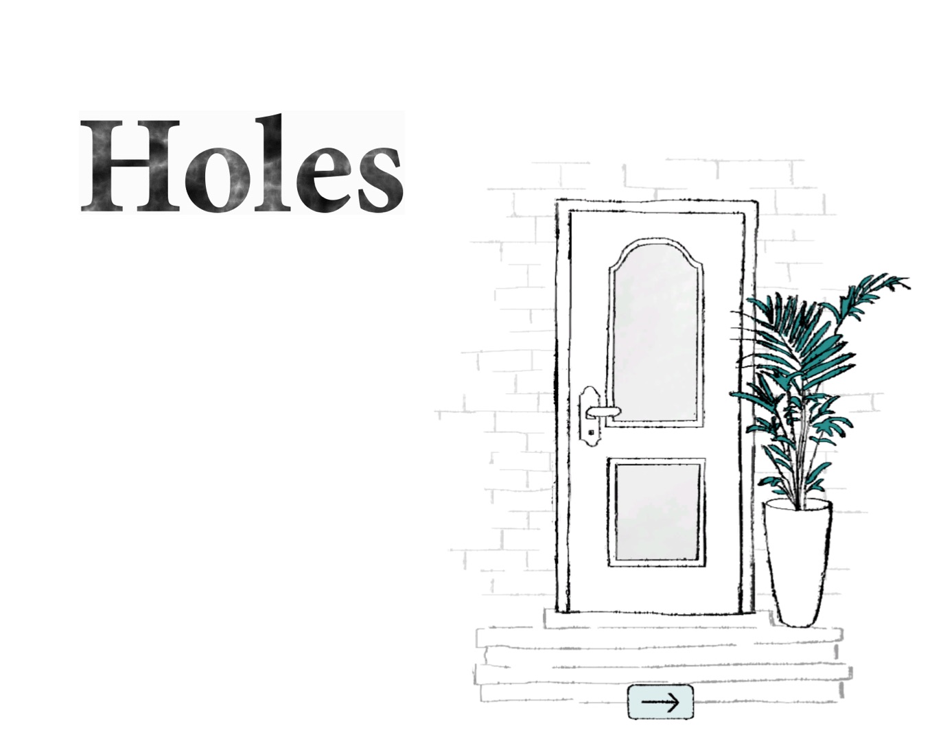 Cover image for Holes
