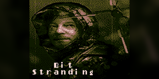 Cover image for Bit Stranding