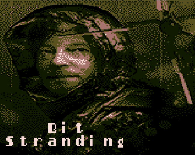 Cover image for Bit Stranding