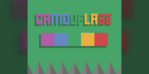 Cover image for Camouflage