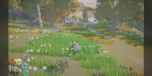Cover image for The Panda Predicament