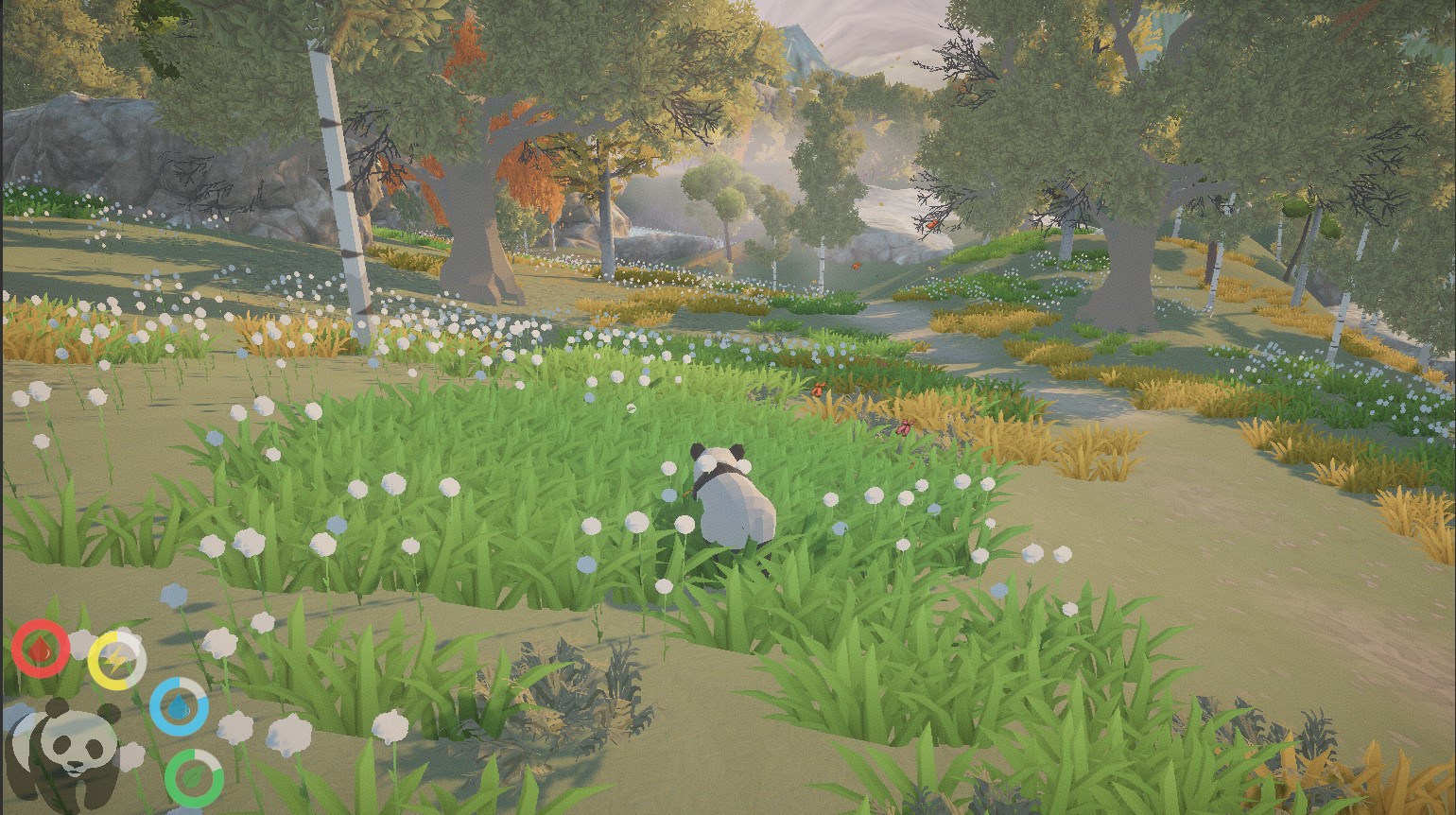 Cover image for The Panda Predicament
